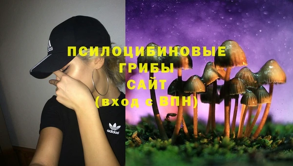 молекула духа Алзамай