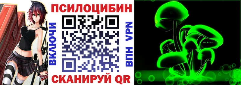 Псилоцибиновые грибы Magic Shrooms  наркота  Карачаевск 